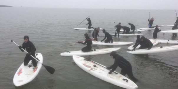 c6388981-c0b3-4644-88f6-d5c3edf397f0