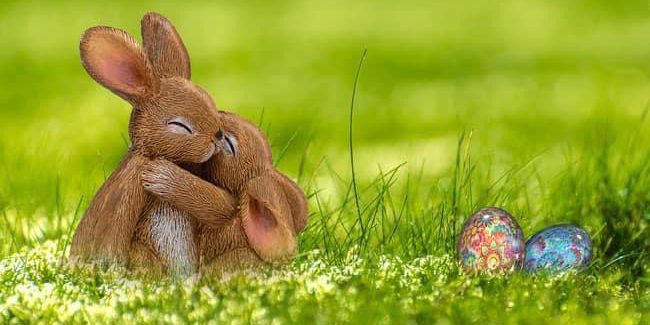 2d3ef02f-f8a9-47dd-b677-8085b7420ff9