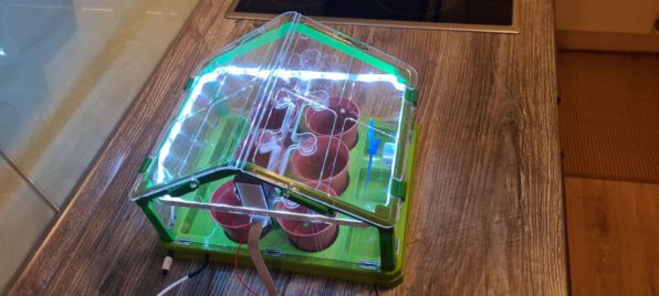 WhatsApp Image 2020-10-28 at 16.01.31